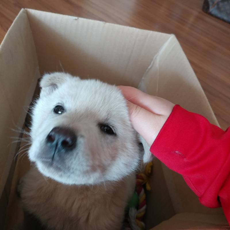 괜히 보고싶어서 올리는 우리애기❤ | 인스티즈