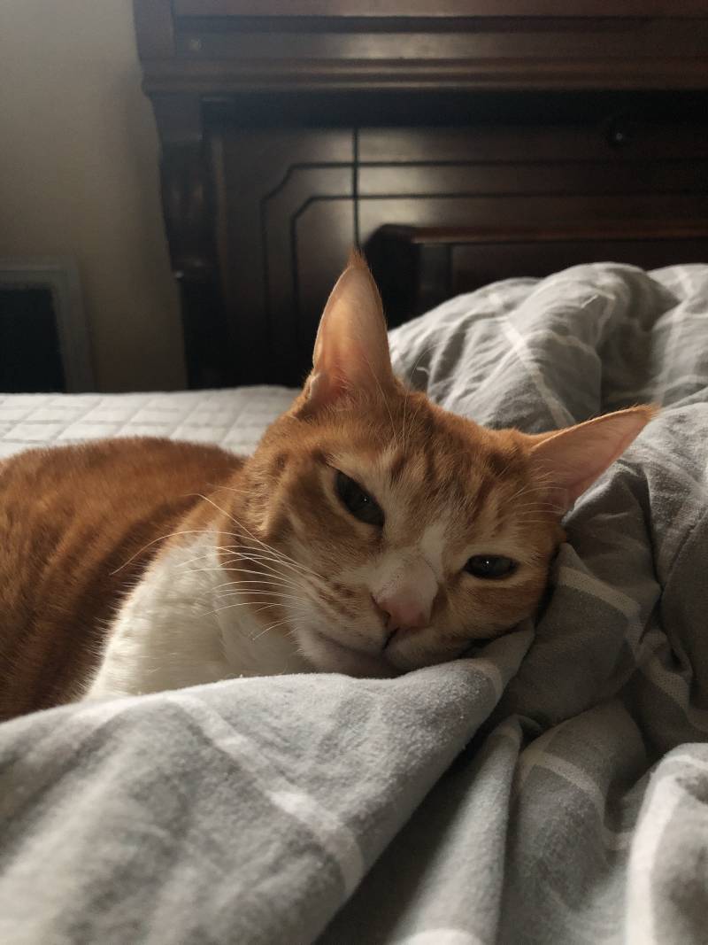 표정 보면 귀찮아 보여??? | 인스티즈