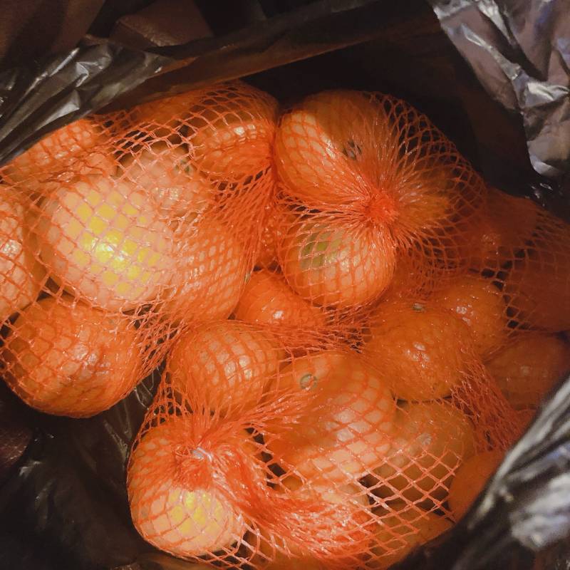 귤이 이렇게나 많은데 먹지를 못해 | 인스티즈