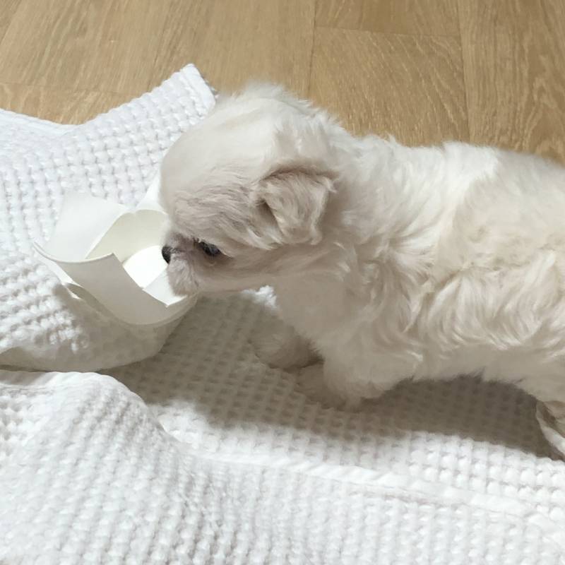 놀랄 준비 하고 들어와 난 경고했따 | 인스티즈