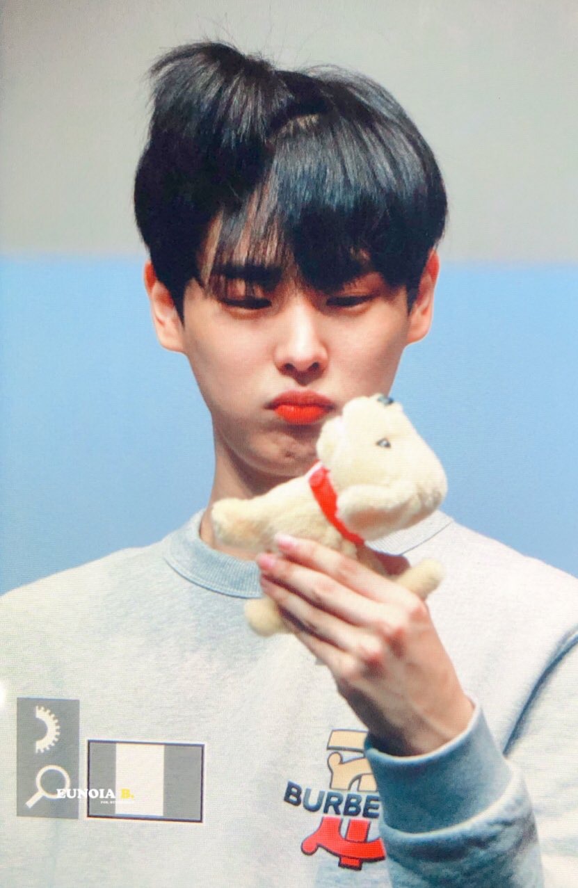 끄아아ㅏㅇ 병찬이 강아지인형 보고 시무룩 뽀둥한 이유ㅠㅠㅠㅠㅠㅠㅠㅠㅠㅠㅠ | 인스티즈