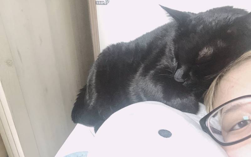 우리집 돼지도 봐줭ㅠㅠ | 인스티즈