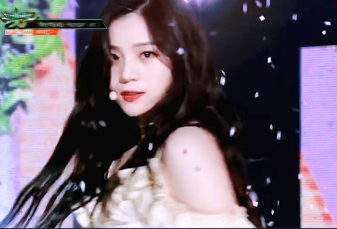 오늘 짤들 정리하고 잔다 | 인스티즈