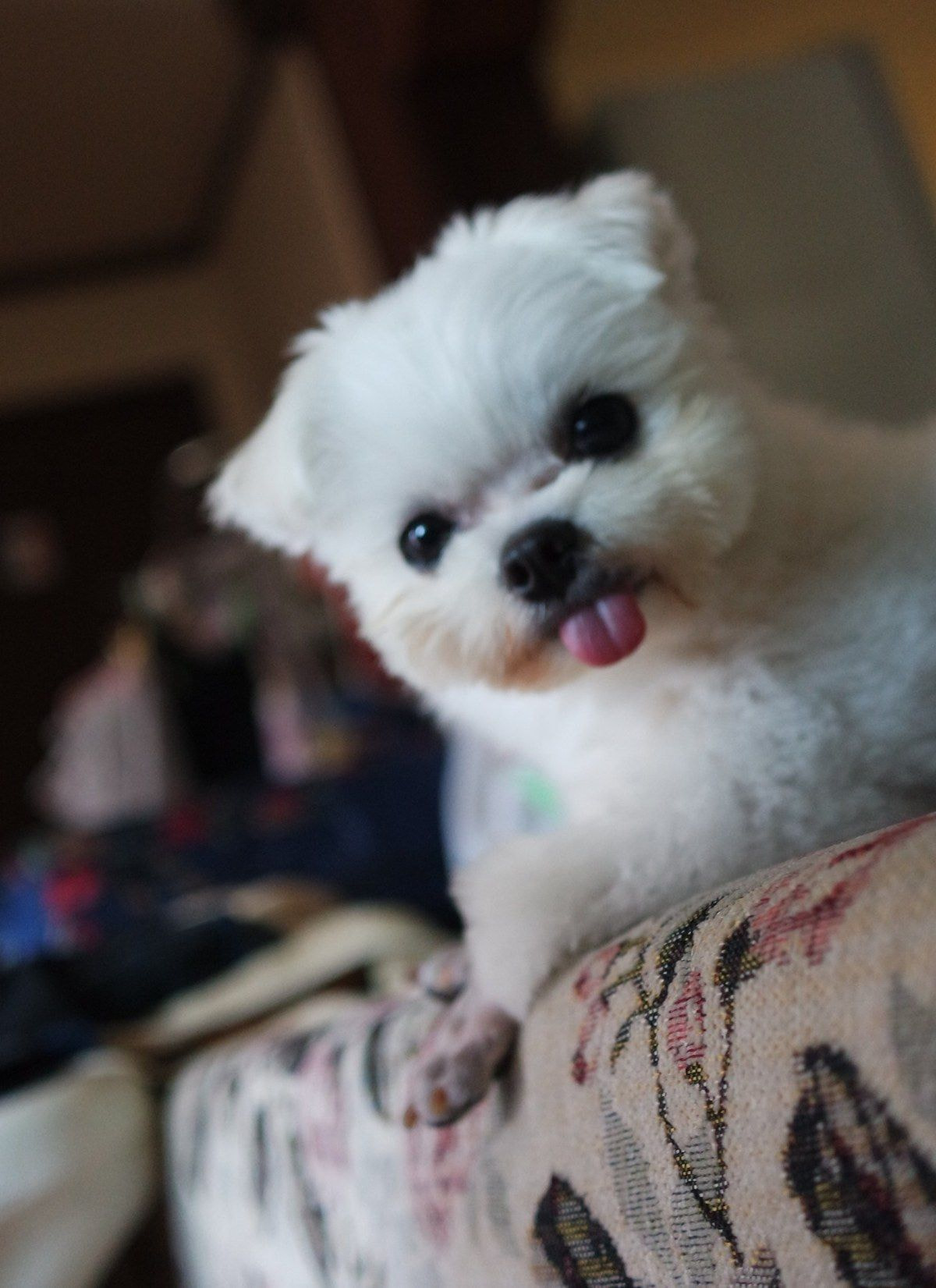 김우석 뭐야?? | 인스티즈