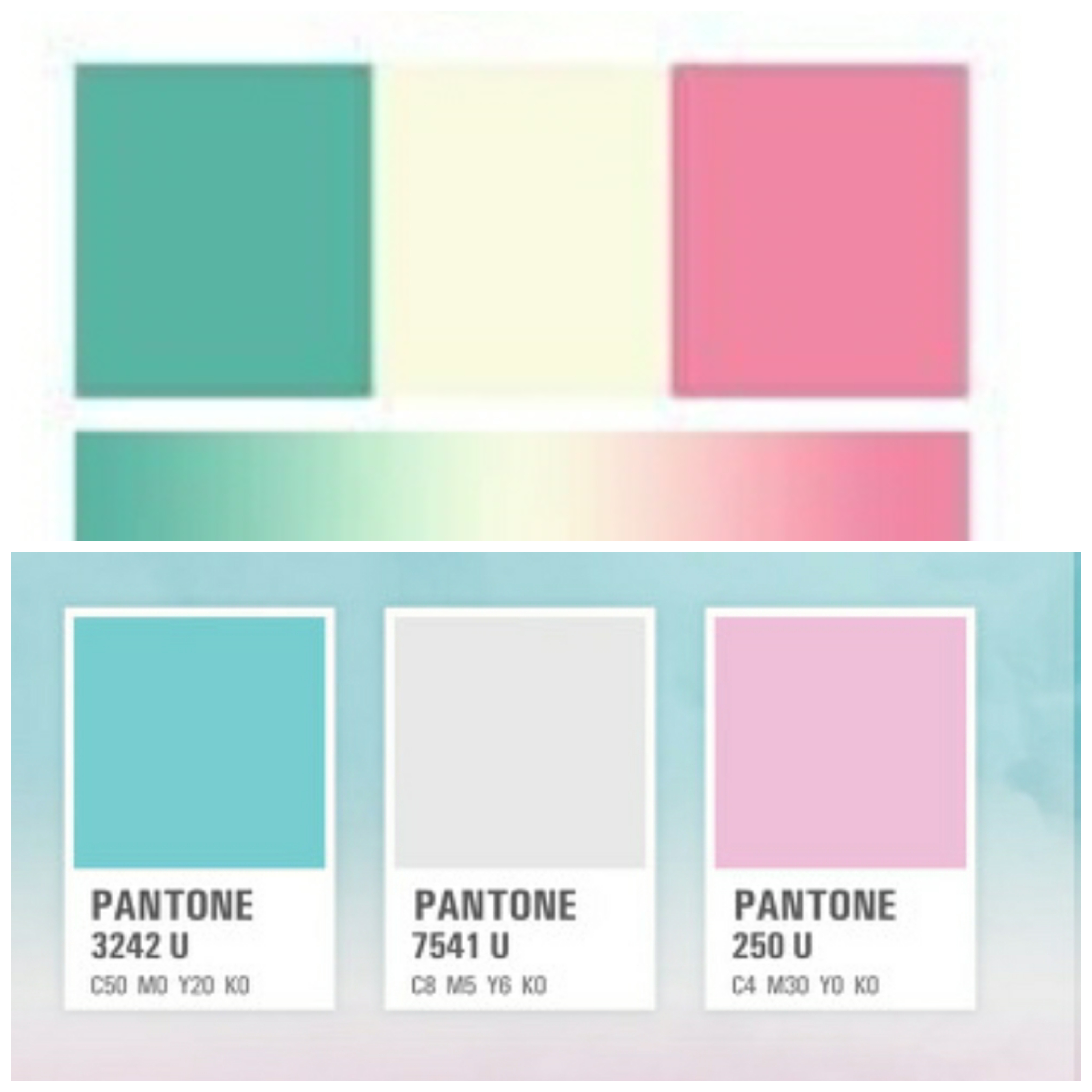 근데 강다니엘 팬들도 이해는되는데 | 인스티즈