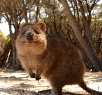 근데 진짜 티난다 ㅋㅋㅋ ㅋㅋ ㅋ ㅋㅋ | 인스티즈