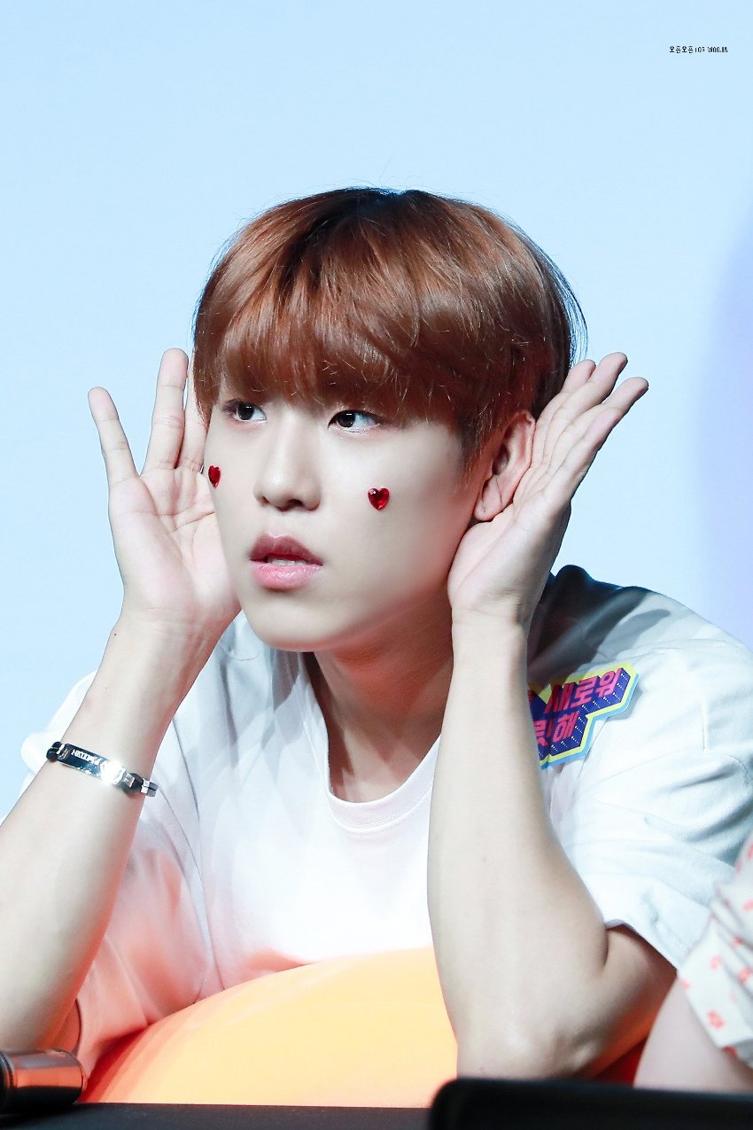 맨날 박우진 귀 쫑긋해 팬들말 들으려고 | 인스티즈