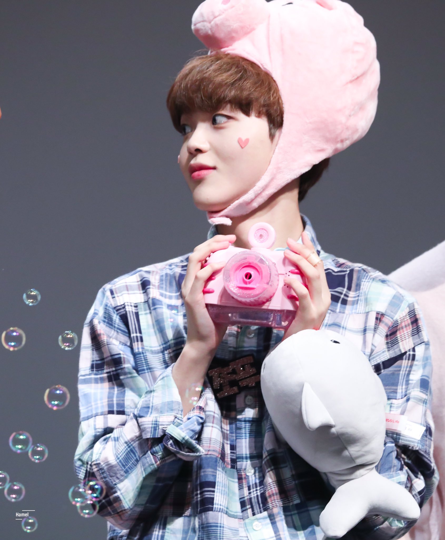 형준이는 쪼푸 말고 돼지한다네용🐽💛 | 인스티즈