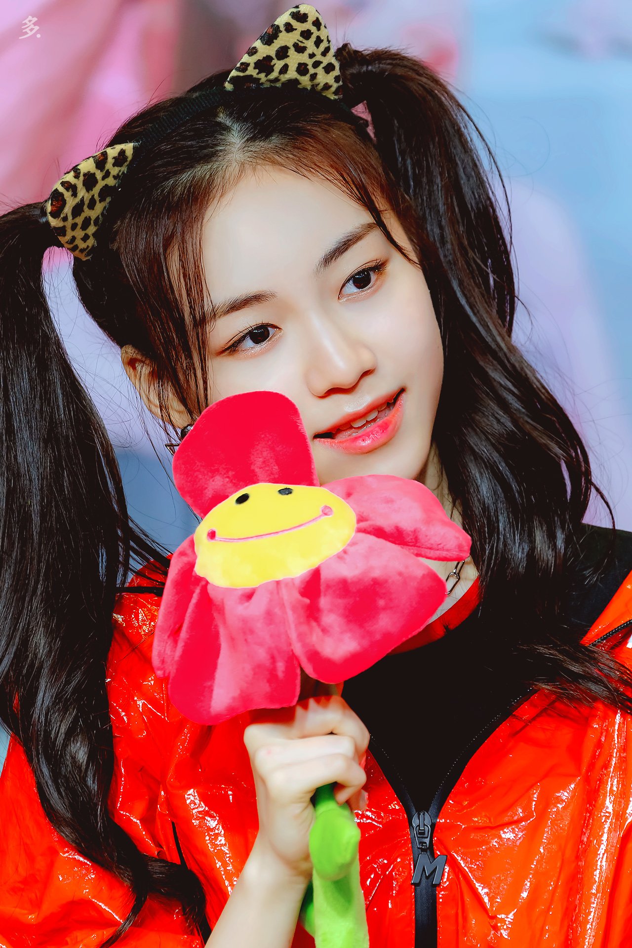 여덕의 오늘 주운 짤들 보고 갈래여? | 인스티즈