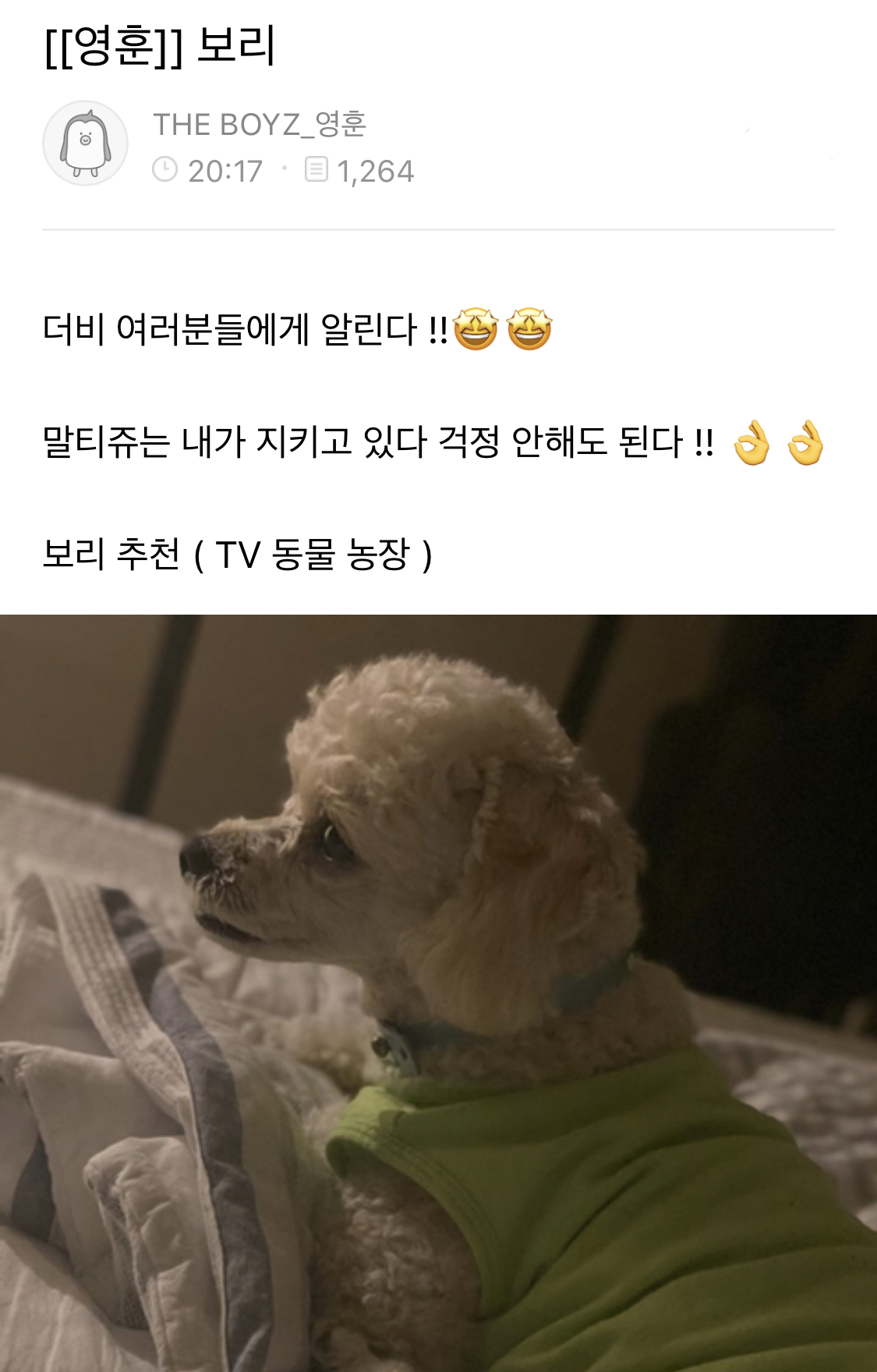 더보이즈 영훈 부상으로 당분간 활동 중지했는데 | 인스티즈