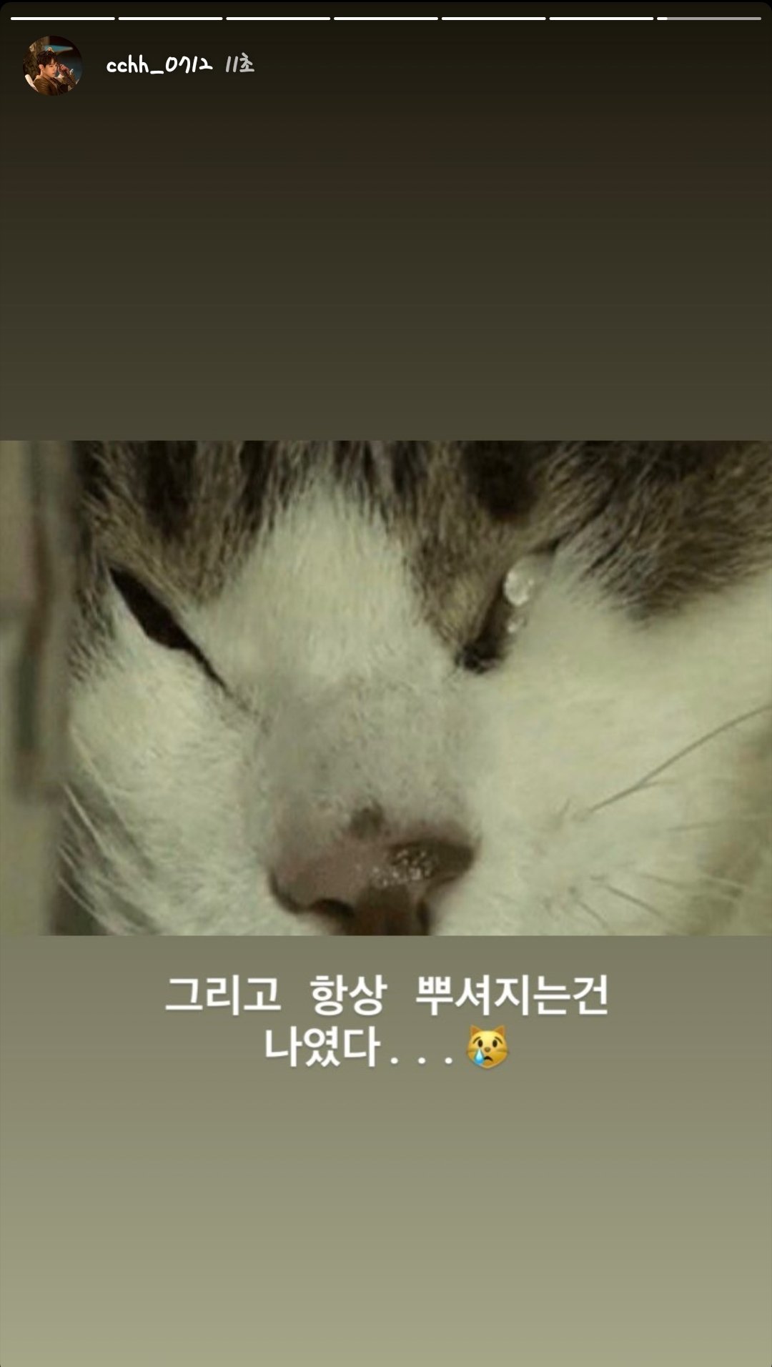 얘 인스타 스토리 진짜 너무 귀엽지 않니... | 인스티즈