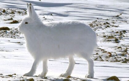 방탄 정국 다리 숨기고 다니는거 좋아하나 | 인스티즈