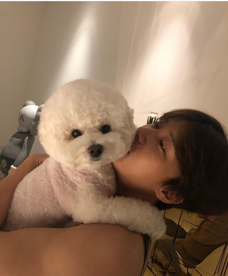 박서준 강아지 진짜 인형 같다 | 인스티즈