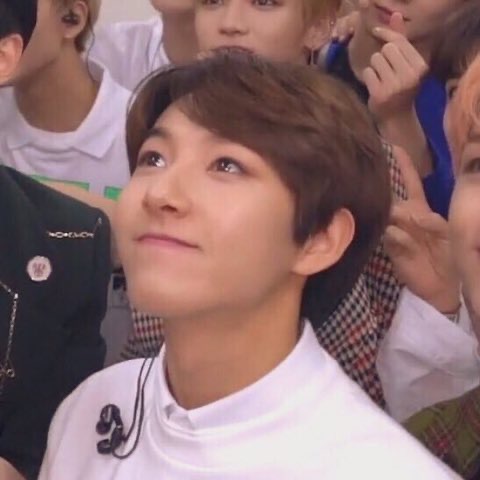 와 진짜 사막여우랑 똑같이 생겼어 | 인스티즈