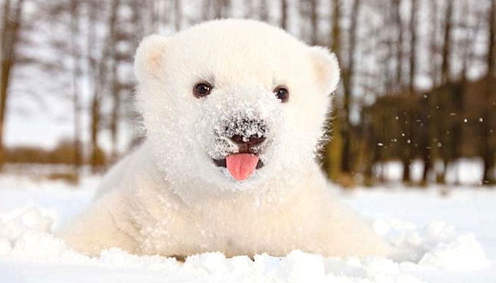 최병찬 왜 자꾸 스케줄 불참해? | 인스티즈