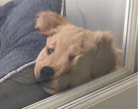 빅히트 뭐야 진짜 | 인스티즈