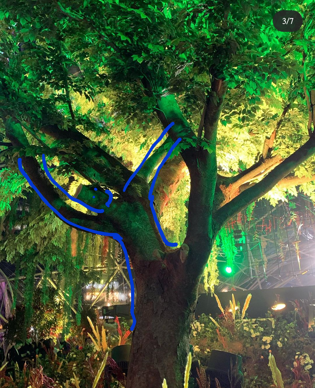 지디 전시회 나무 오ㅑㄹ케 사람같지 ㅋㅋㅋㅋㅋㅋㅋㅋㅋ | 인스티즈