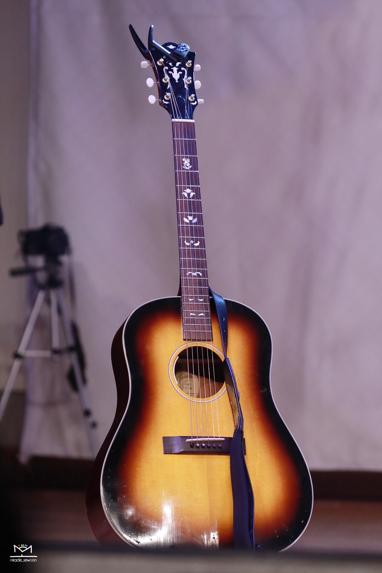 주인 잘만나서 아이돌급 대우받는다 | 인스티즈