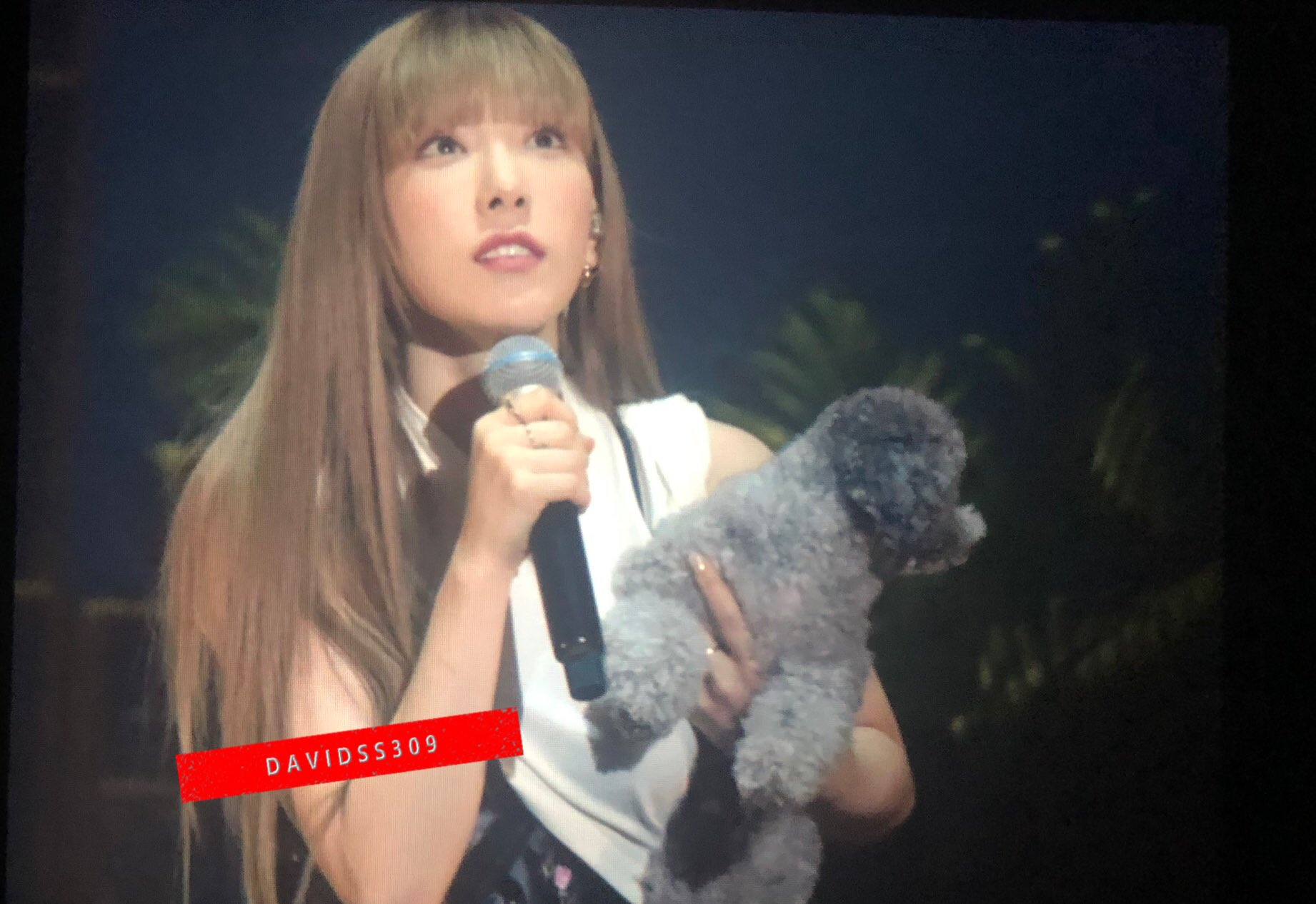 태연 풀뱅 너무 좋다.. 근데 새삼 너무 정갈해서 가발같아ㅋㅋㅋㅋㅋㅋㅋ | 인스티즈