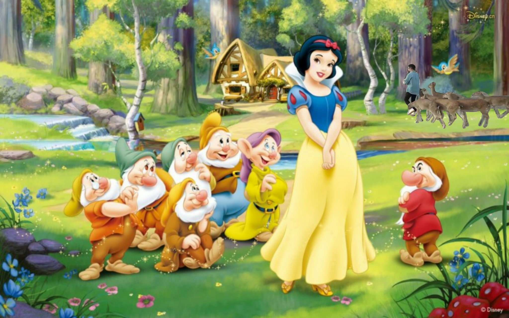 최애가 국방부에 잡혀있어서 갤러리에 이런사진들 밖에 없어ㅋㅋㅋㅋㅋ | 인스티즈