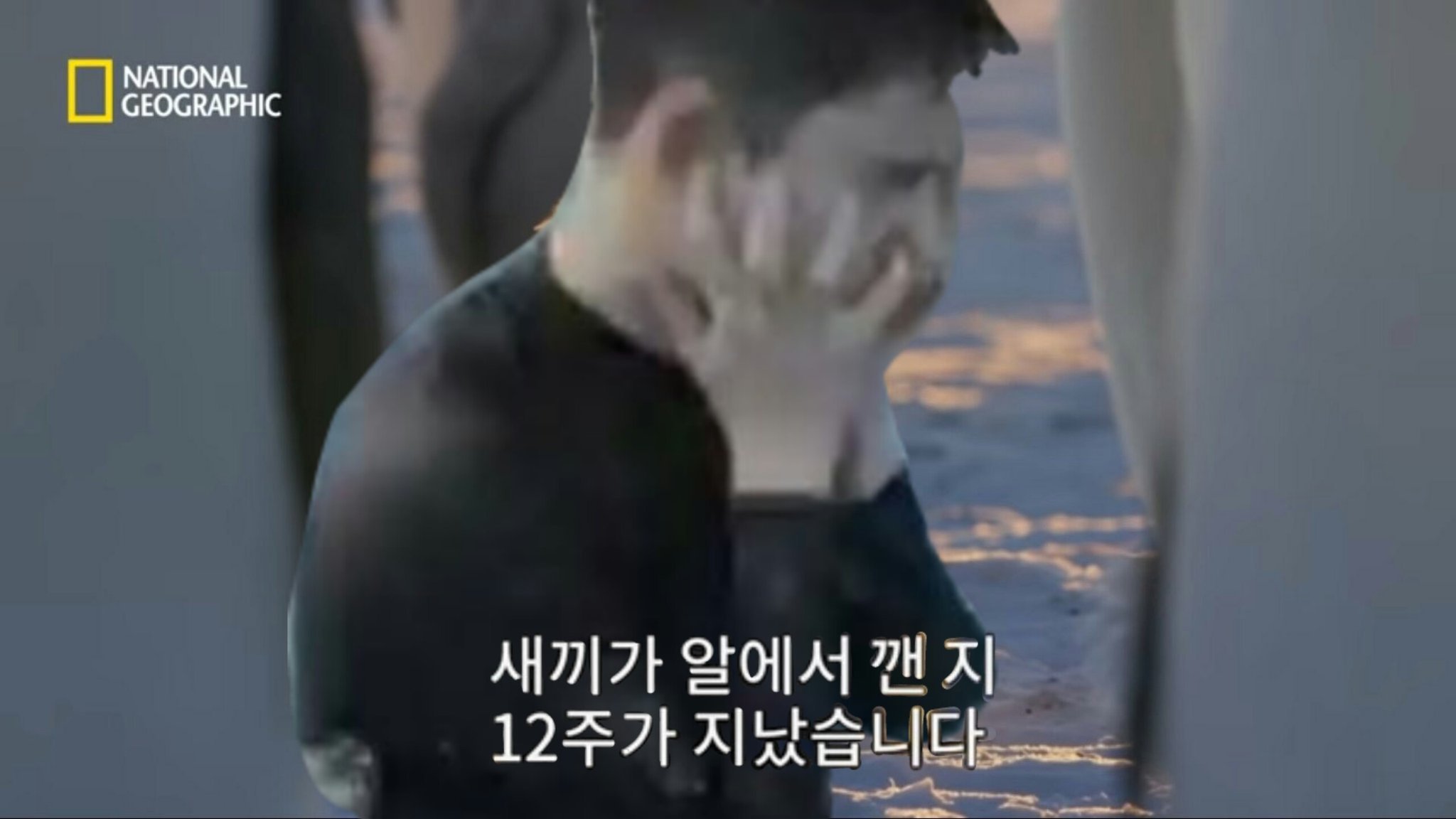 최애가 국방부에 잡혀있어서 갤러리에 이런사진들 밖에 없어ㅋㅋㅋㅋㅋ | 인스티즈