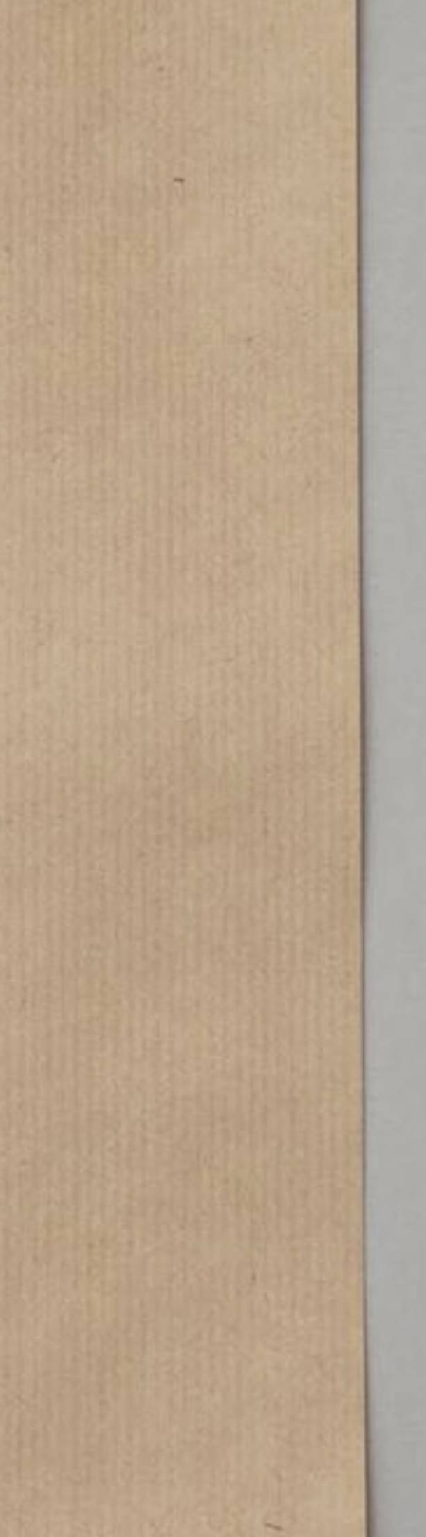 이런 종이 무슨 종인지 아는 사람?? | 인스티즈