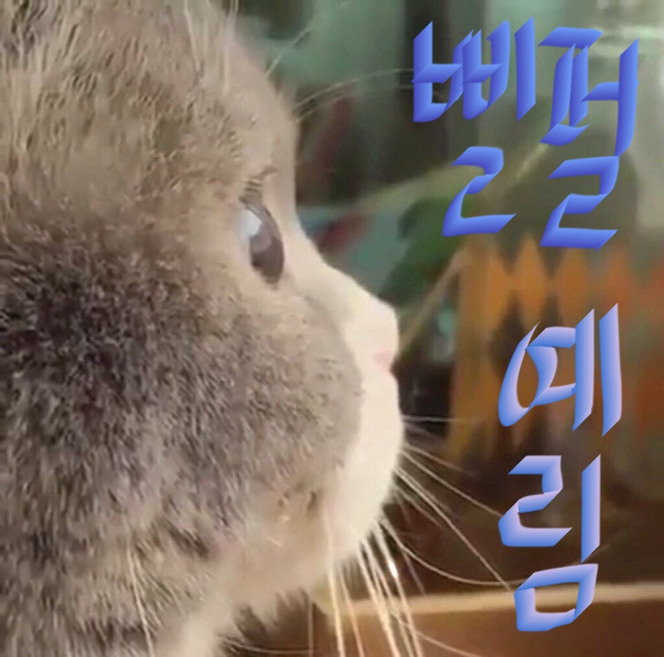 ..주현아앞으로언니라고불러 | 인스티즈