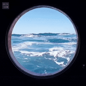 나만 이거 무서워?ㅜㅠㅠㅠ(무서운짤 아님 | 인스티즈