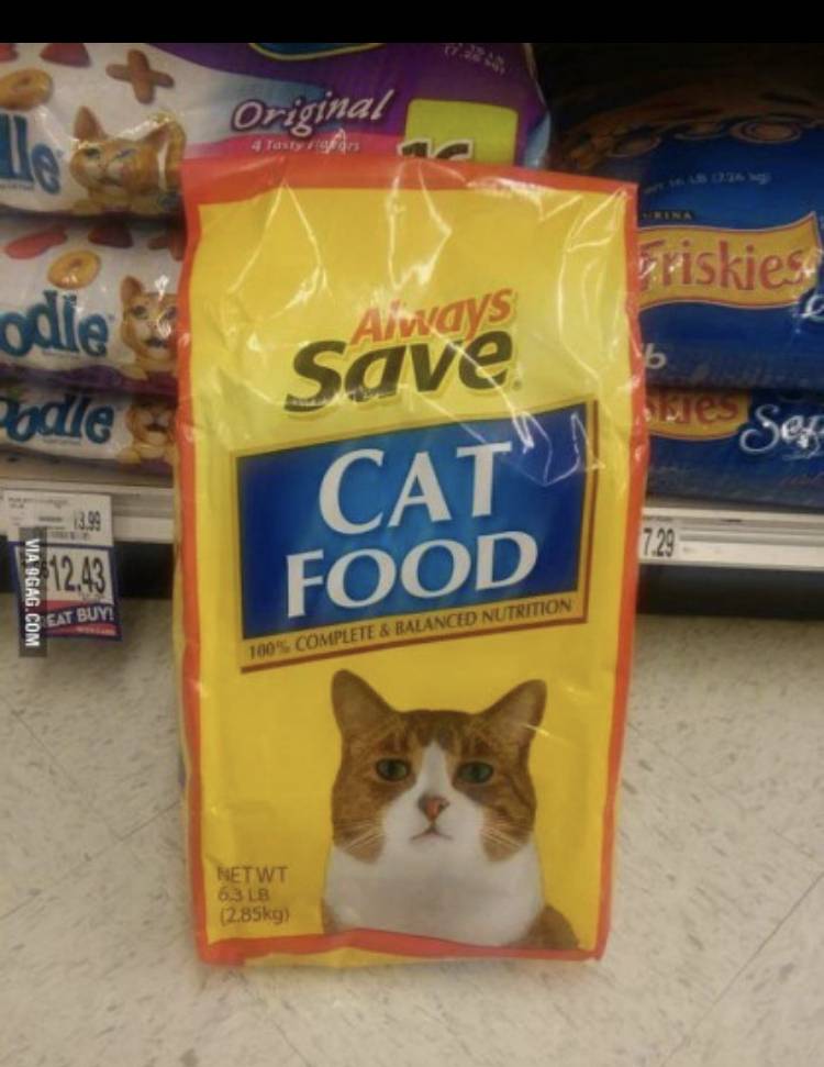 고양이 사료인데 모델 잘못 뽑은거 아니냐고요 ㅠ | 인스티즈