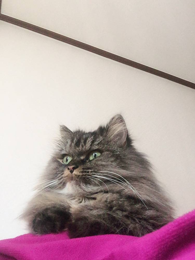 나 좀 살려줘ㅠㅠㅠㅠㅜㅠ | 인스티즈