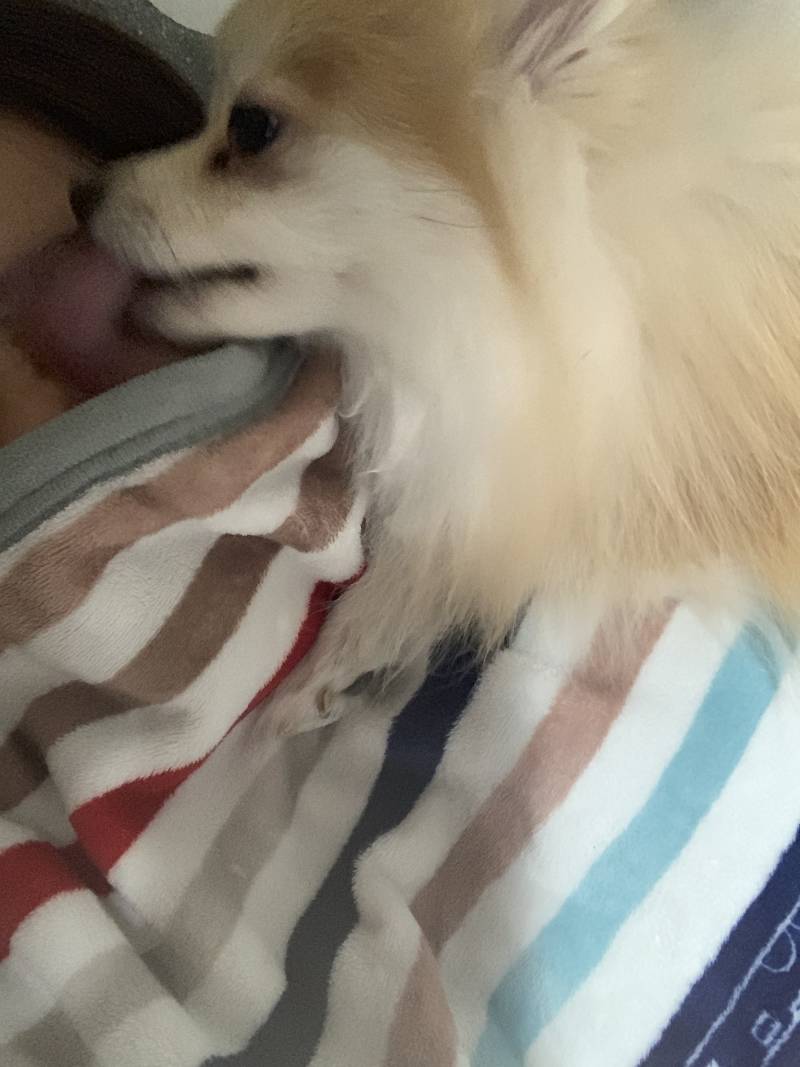 셀카를 찍고 싶은데 셀카는 무슨 정상적인 사진이 안 나옴 | 인스티즈