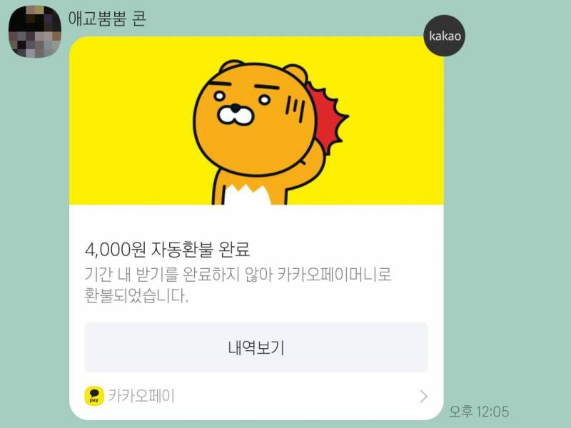 카카오페이로 돈보낸거 안받으면 어찌되는거야??카톡 이렇게왔는지 | 인스티즈