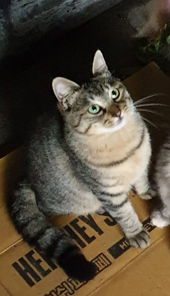 우리 애용이 너무보고싶다 | 인스티즈