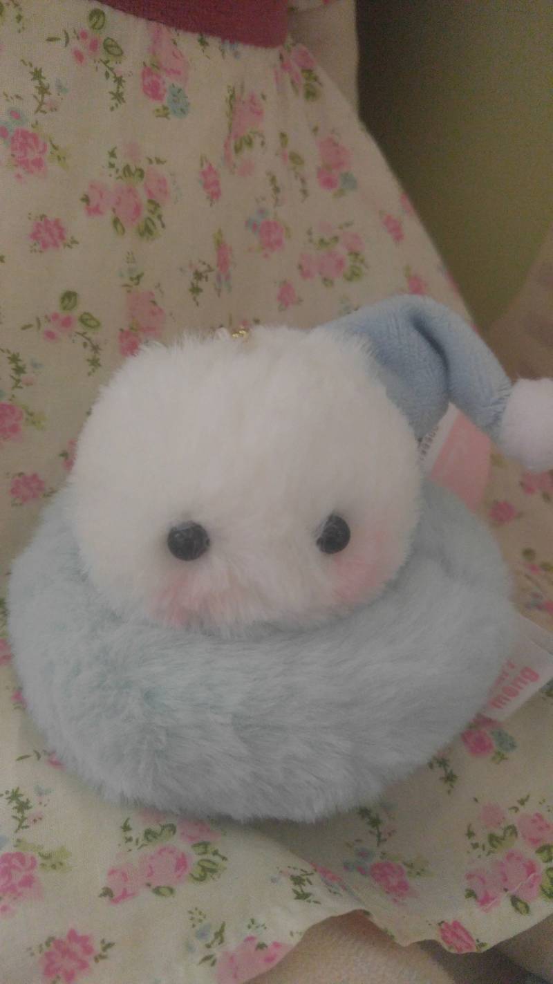 짱귀엽지이이ㅣㅣㅣㅣ😪 | 인스티즈