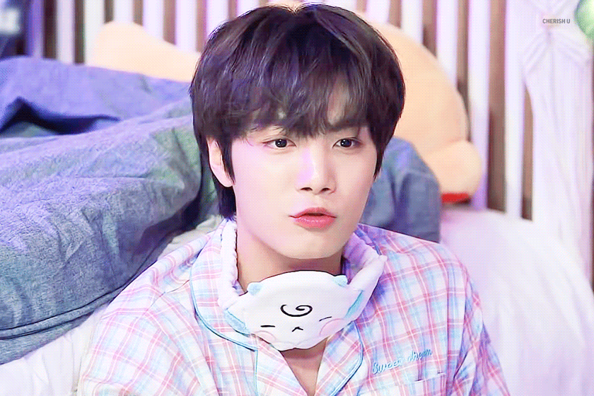 내 취향 저격한 남돌 강아지 셋 | 인스티즈