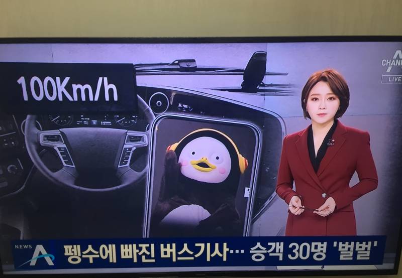 헐ㅋㅋㅋㅋ 버스기사가 펭수영상본다고 시속 100키로 | 인스티즈