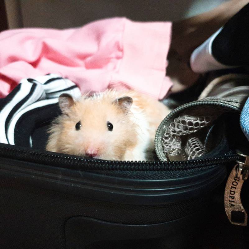 인스타 글 올려야하는데ㅜㅜㅜ | 인스티즈