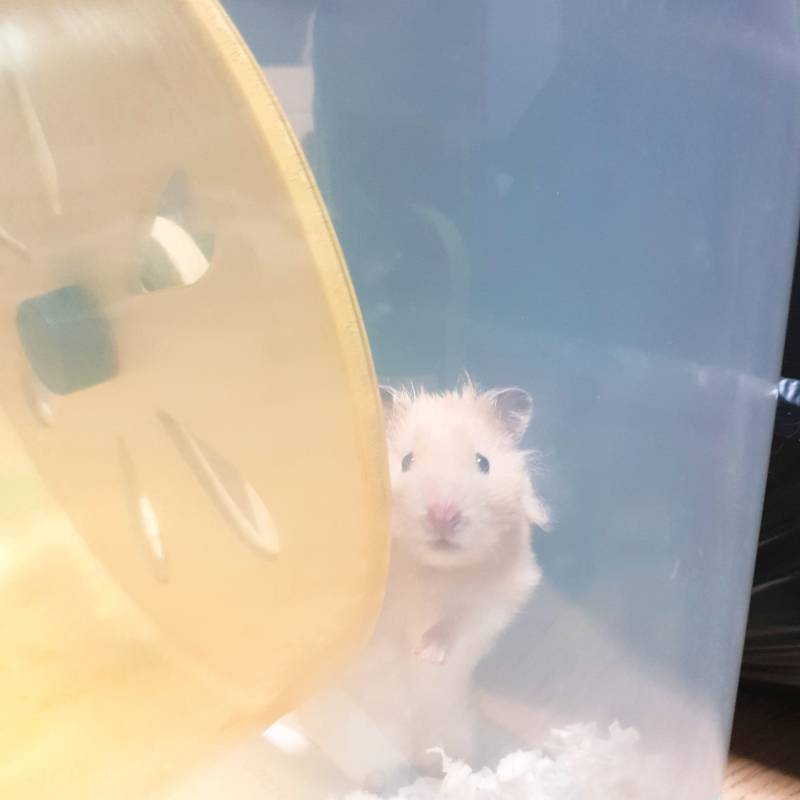 인스타 글 올려야하는데ㅜㅜㅜ | 인스티즈