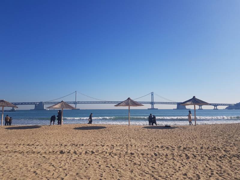 광안리 대박사건 ㅠㅠㅠㅠ | 인스티즈