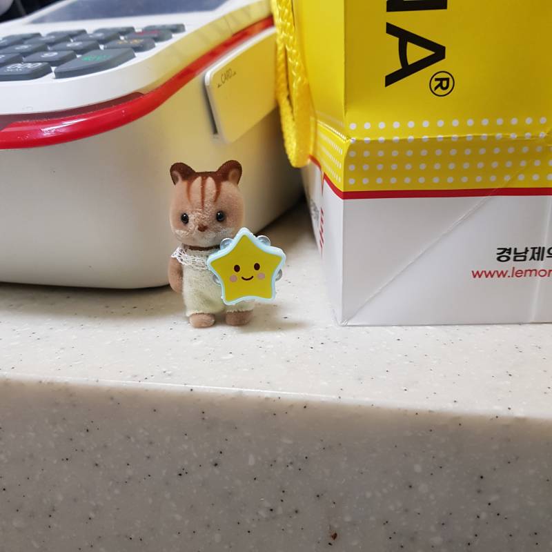 알바하는데 고개 살짝만 돌려도 얘 보여서 기분 너무 좋아 | 인스티즈