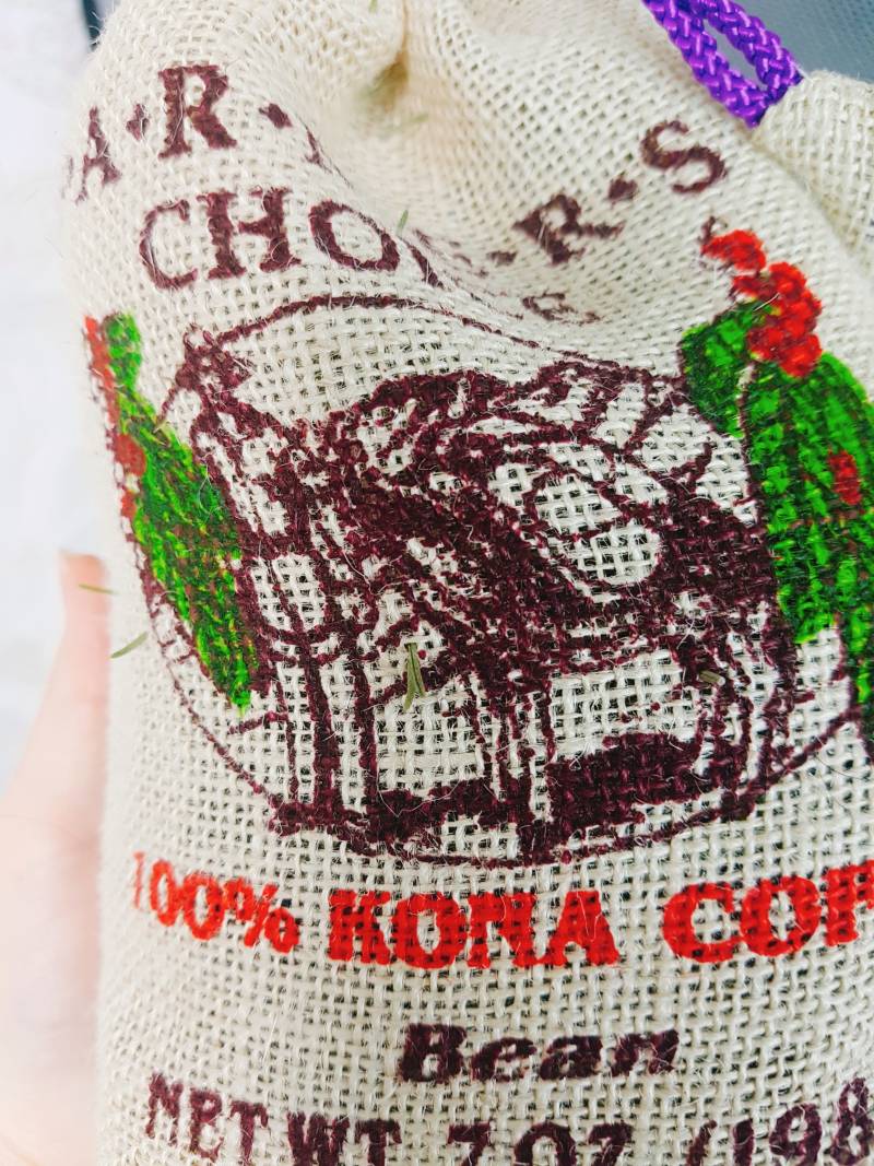 고양이 키우는 익들아ㅠㅠ 급한데 좀 도와주겠니 네이버에 쳐도 다 말이 달라서 | 인스티즈