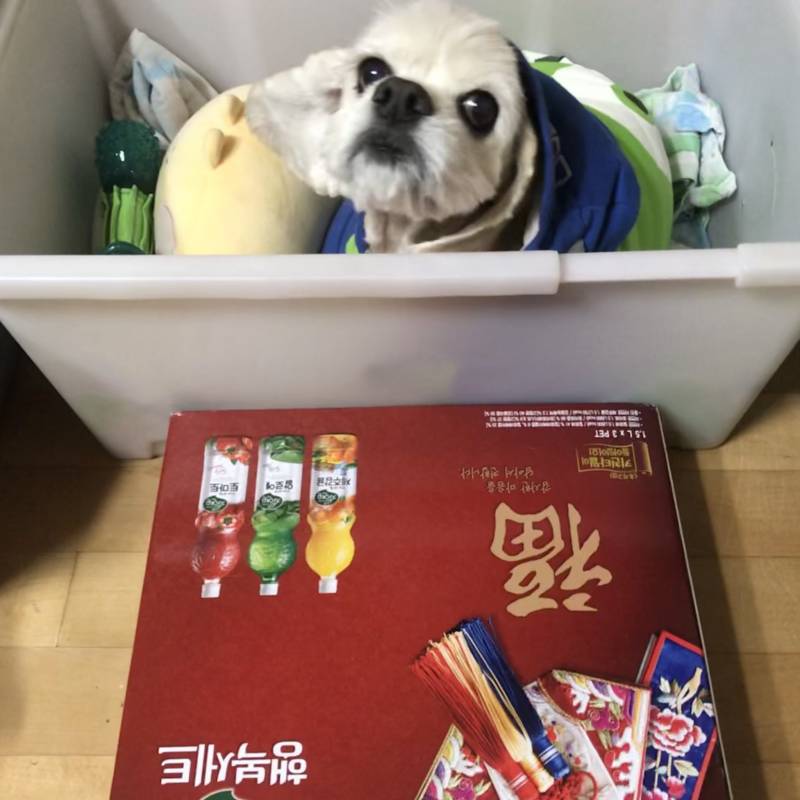 우리 애기 발디딤대 생겼어 40 | 인스티즈