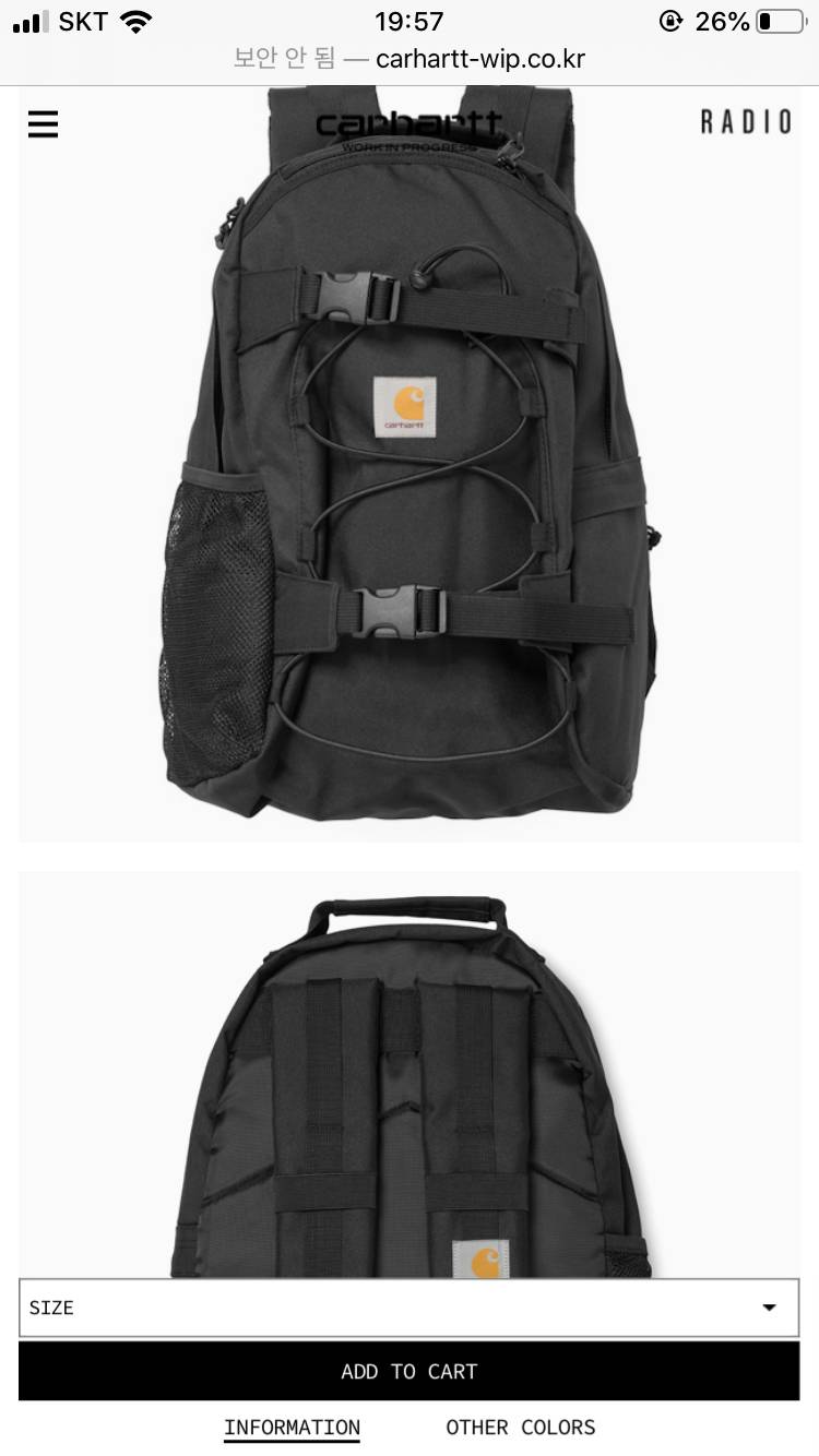 20학번 새내기 익인데 이 백팩 어떤 거 같아??? 살까 말까 고민중이양 | 인스티즈