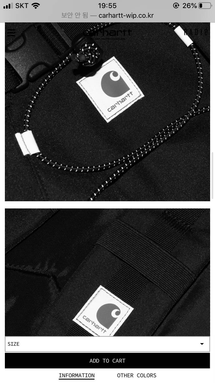 20학번 새내기 익인데 이 백팩 어떤 거 같아??? 살까 말까 고민중이양 | 인스티즈