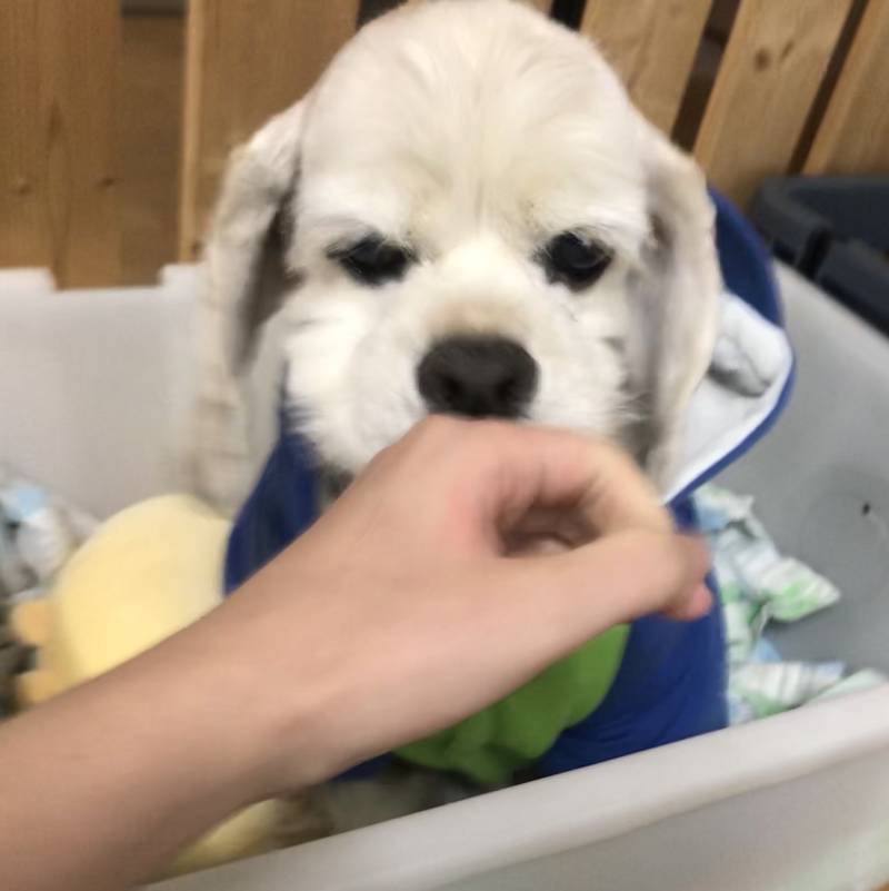 야무진 40 | 인스티즈