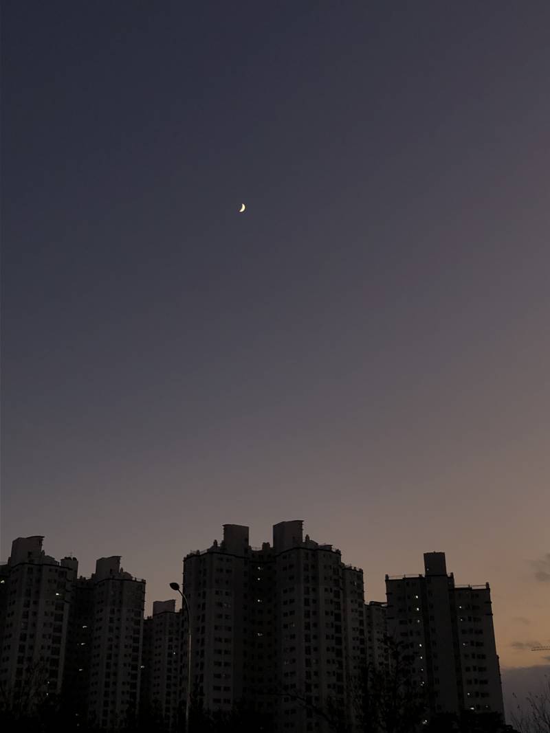 아이폰8 달사진 잘찍혀????? | 인스티즈