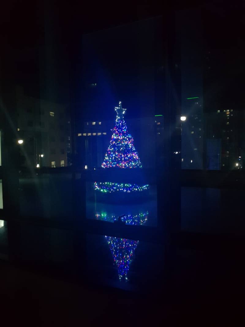 길 가다 찍은 🎄 | 인스티즈