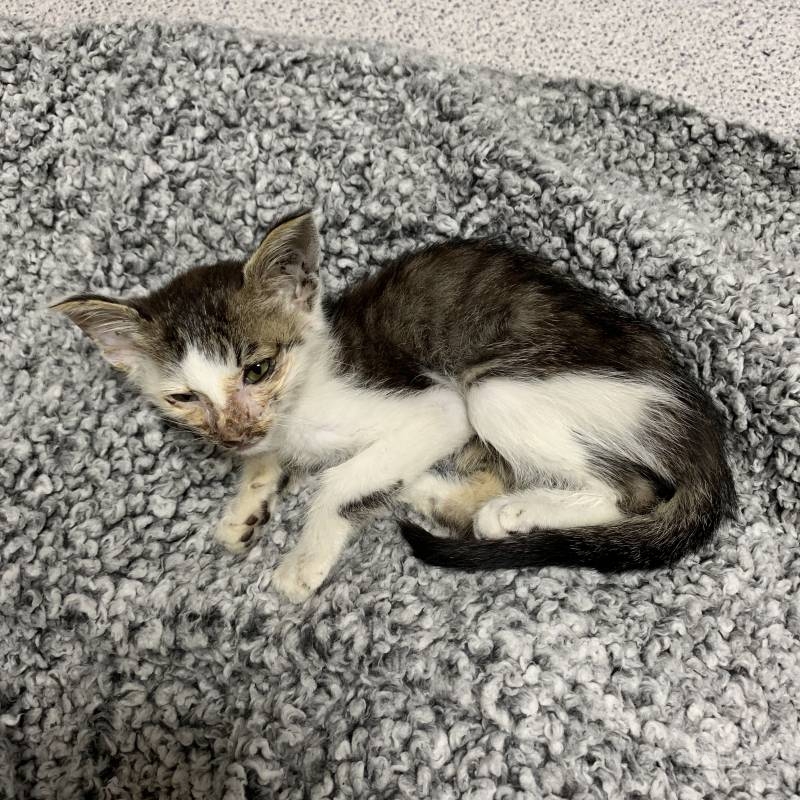 땅땅이 보고싶다 | 인스티즈