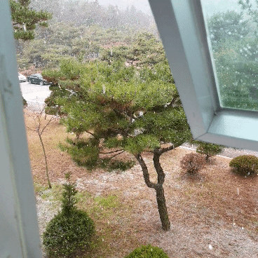 눈온다 눈 | 인스티즈