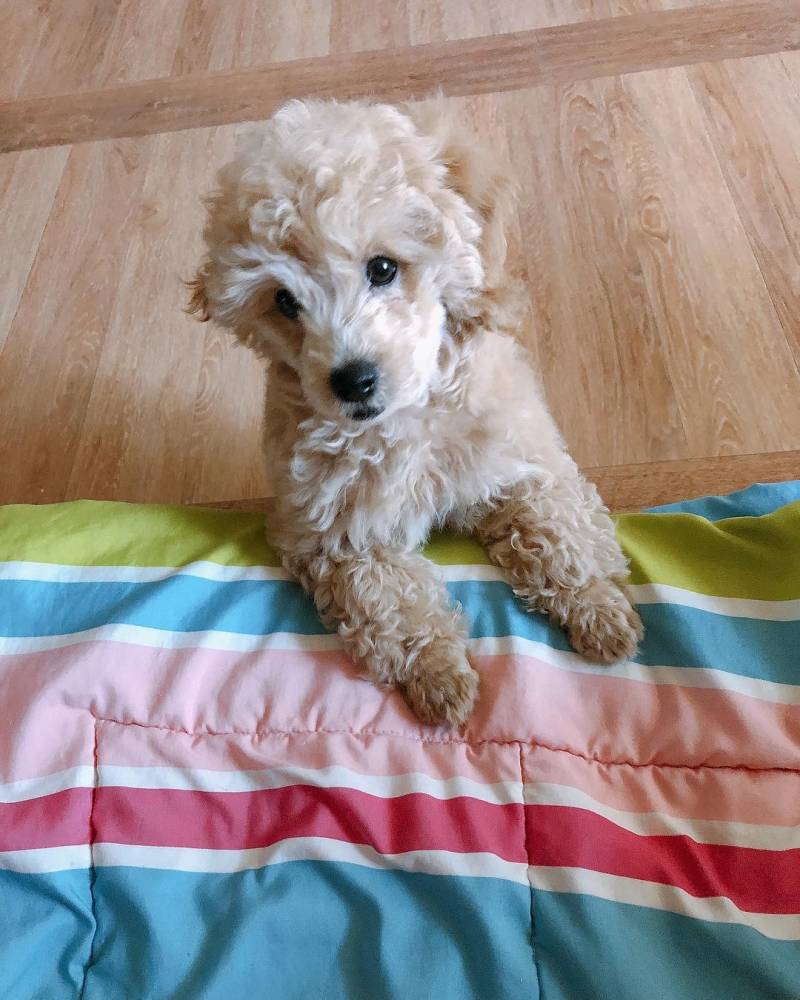 우리 멈머 애기때 사진 보는데 | 인스티즈